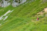 2014-07-05_Laengental-N-Hochweg (833). JPG